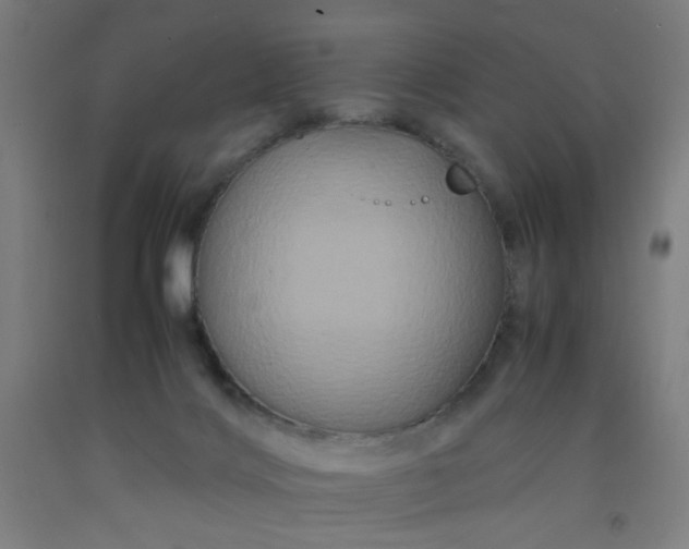 X0000092210028200709281032