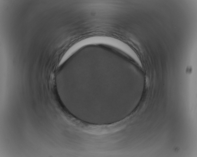 X0000092210029200709281032