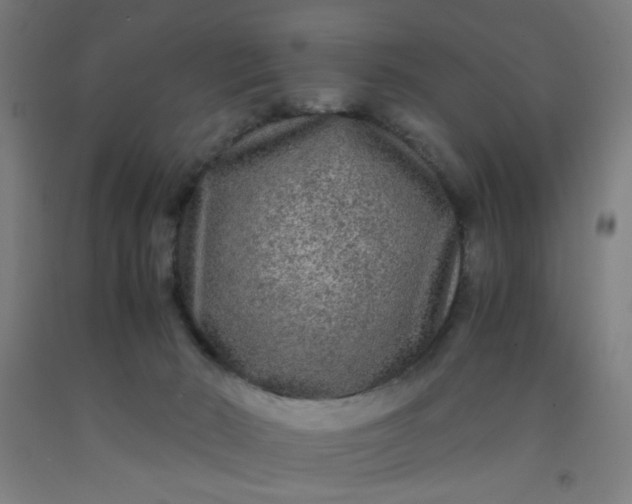 X0000092210030200709281032