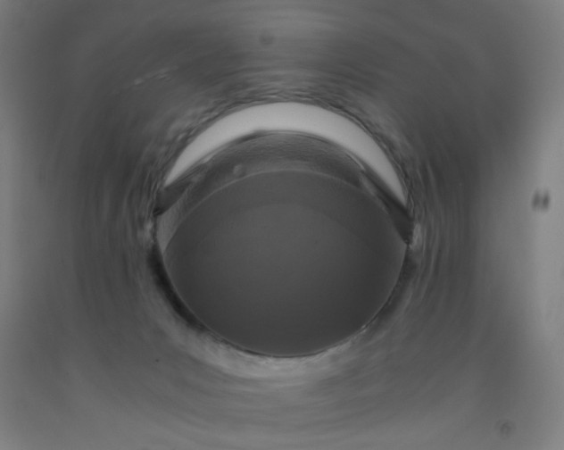 X0000092210031200709281032