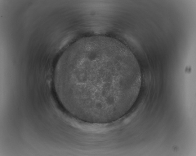 X0000092210032200709281032