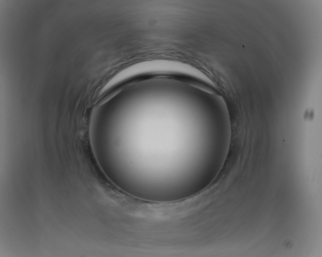 X0000092210033200709281032