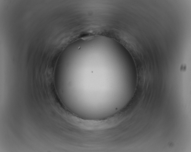 X0000092210034200709281032