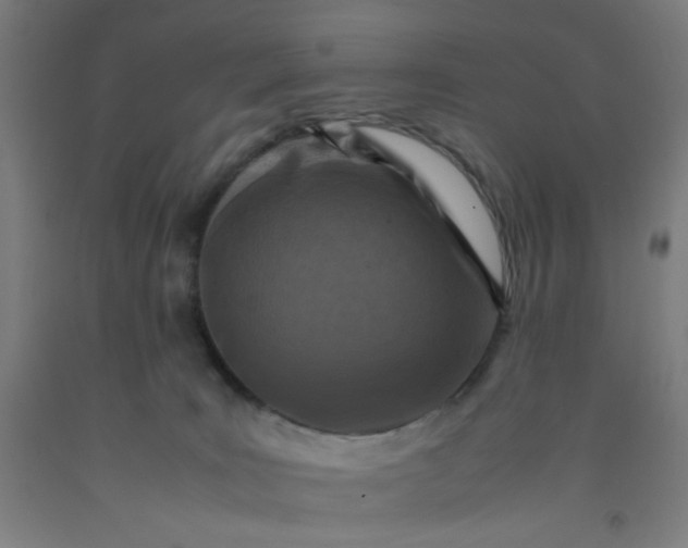 X0000092210035200709281032