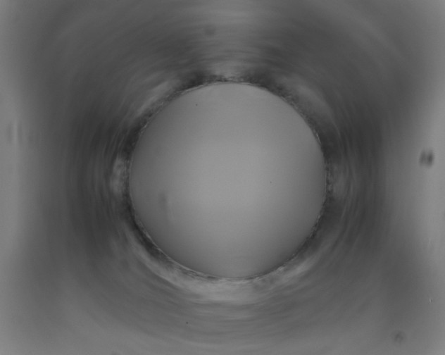 X0000092210036200709281032