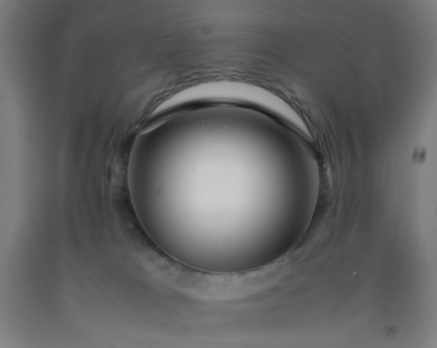 X0000092210037200709281032