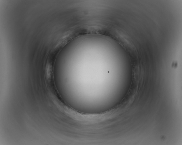 X0000092210038200709281032