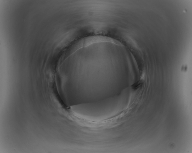 X0000092210039200709281032