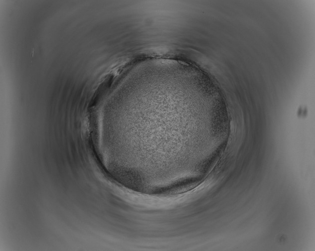 X0000092210048200709281032