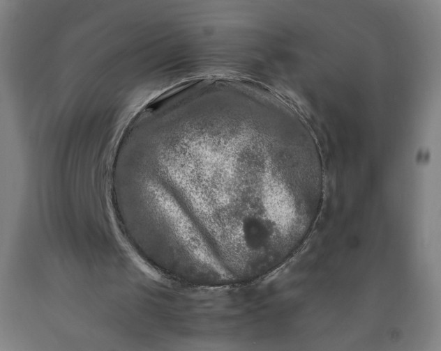 X0000092210049200709281031