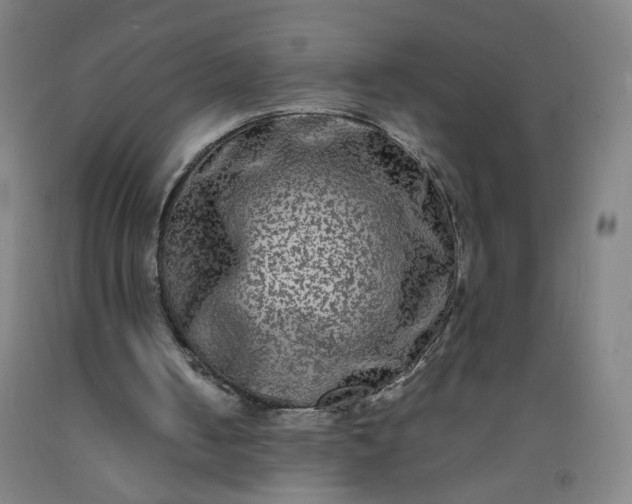 X0000092210050200709281031