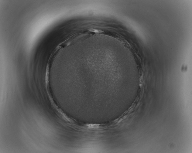 X0000092210052200709281031