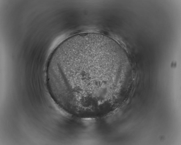 X0000092210053200709281031