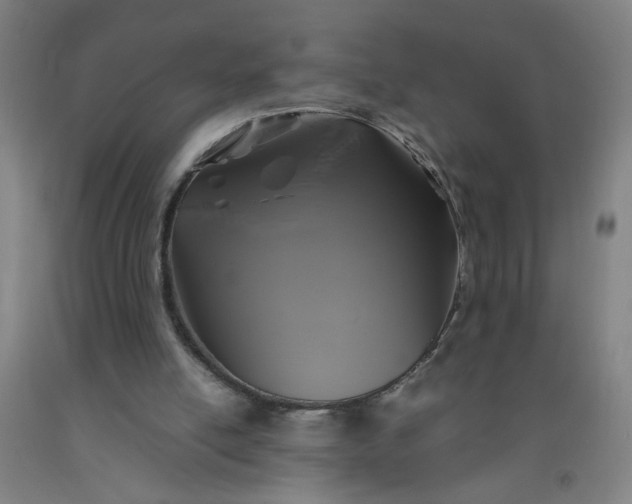 X0000092210054200709281031