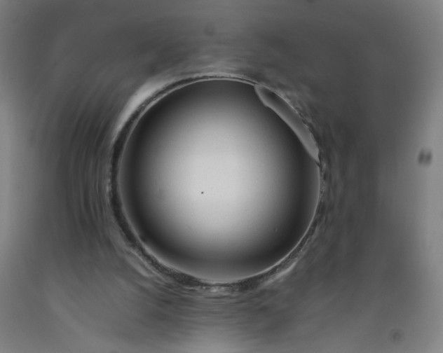 X0000092210056200709281031