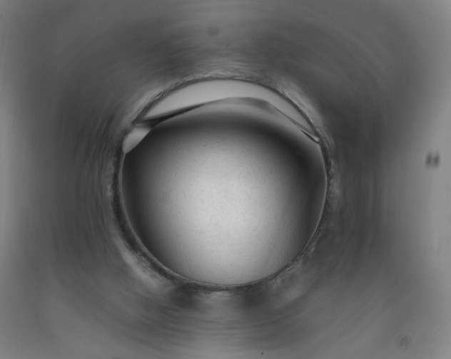 X0000092210058200709281031