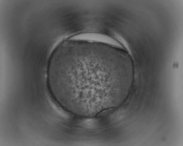 X0000092210059200709281031