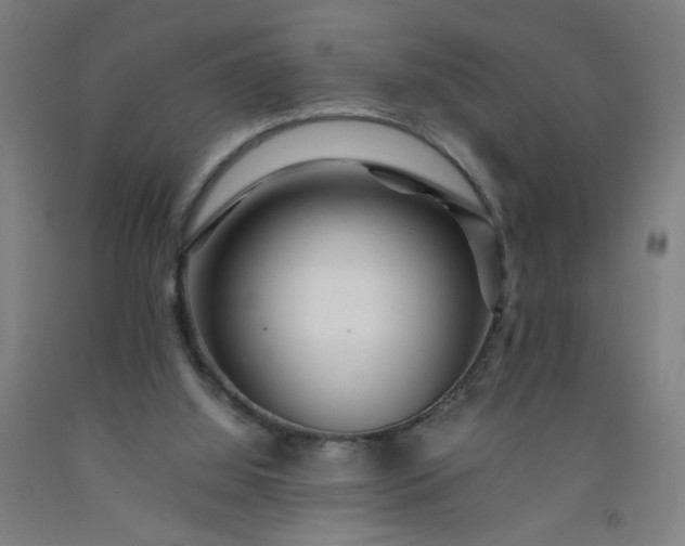 X0000092210060200709281031