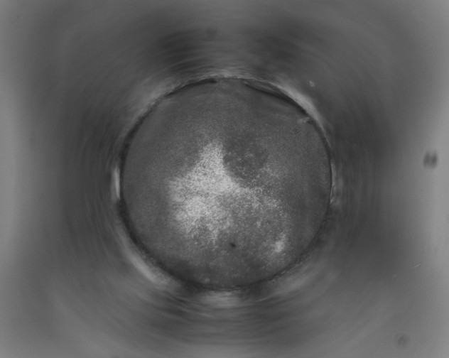 X0000092210061200709281031