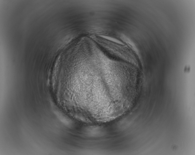 X0000092210065200709281031