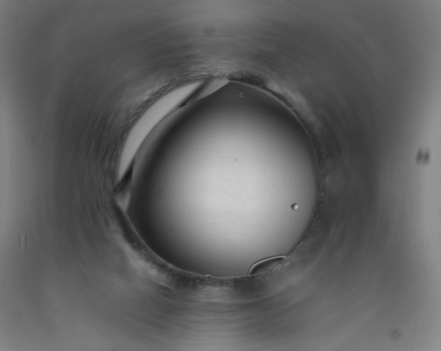 X0000092210066200709281031