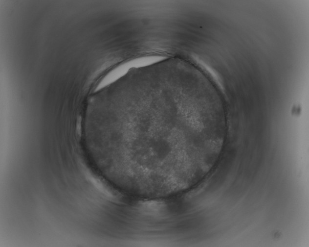 X0000092210067200709281031