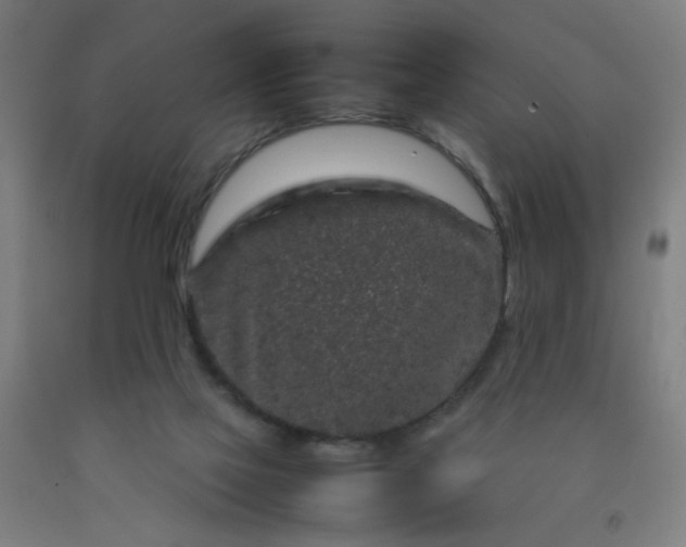 X0000092210069200709281031