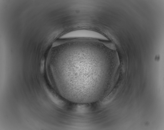 X0000092210070200709281031