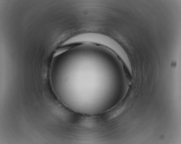 X0000092210072200709281031