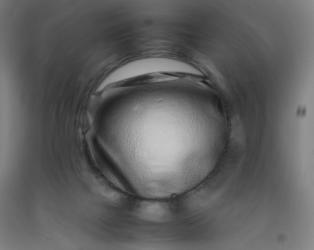 X0000092210073200709281031