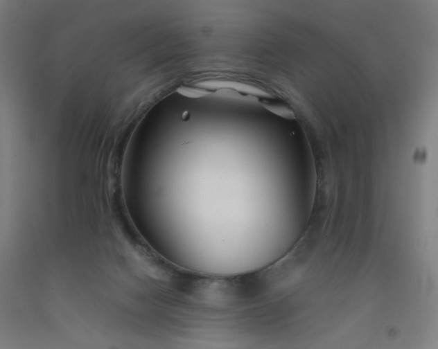 X0000092210074200709281031