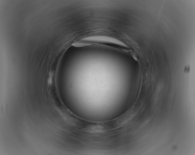 X0000092210075200709281031