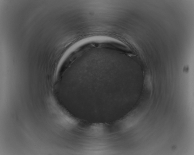 X0000092210076200709281031