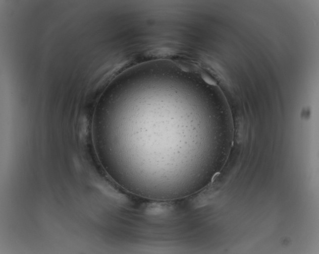 X0000092210077200709281031