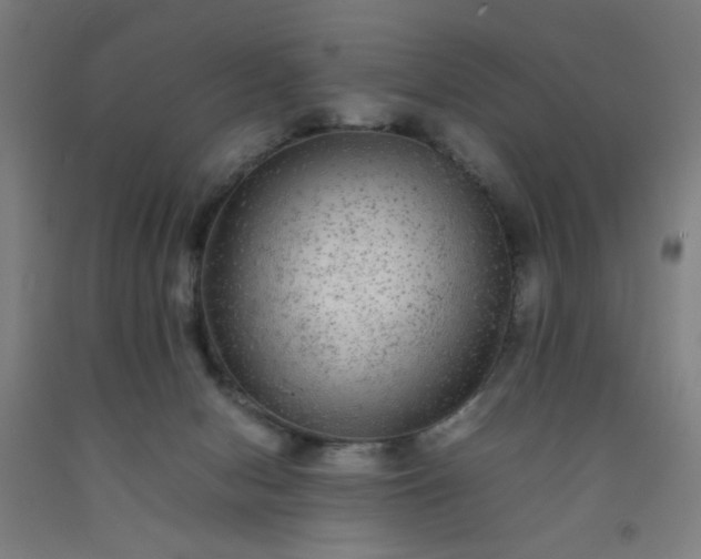 X0000092210078200709281031