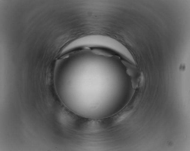 X0000092210080200709281031