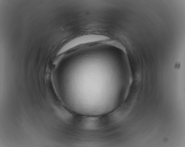 X0000092210081200709281032