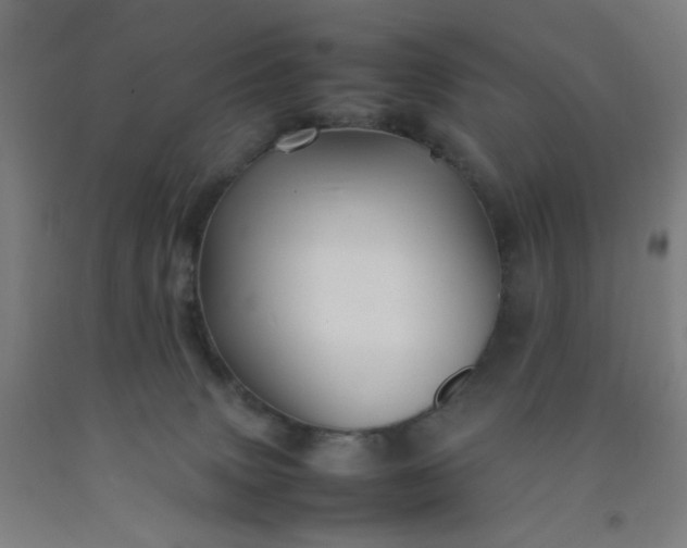 X0000092210083200709281032