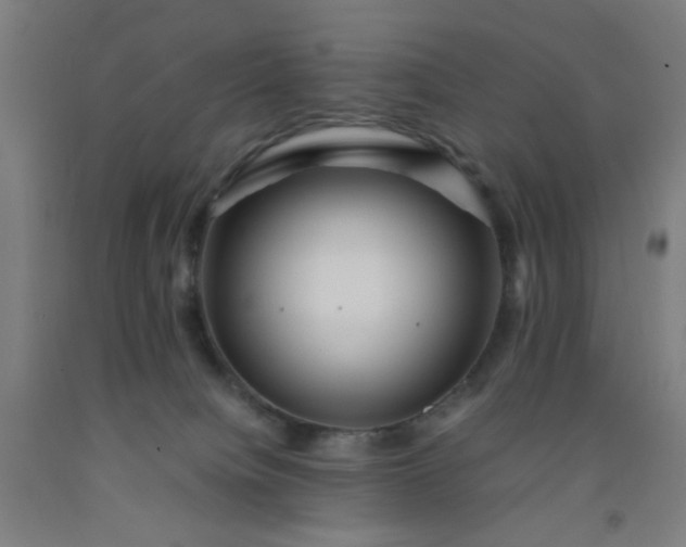 X0000092210084200709281032