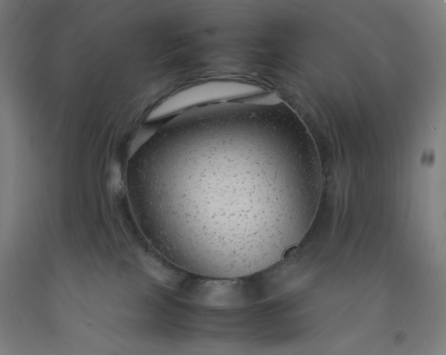 X0000092210089200709281032