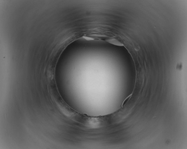 X0000092210091200709281032