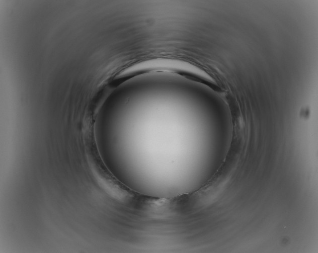 X0000092210092200709281032