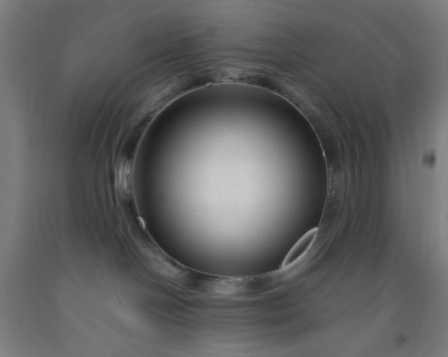 X0000092210094200709281032