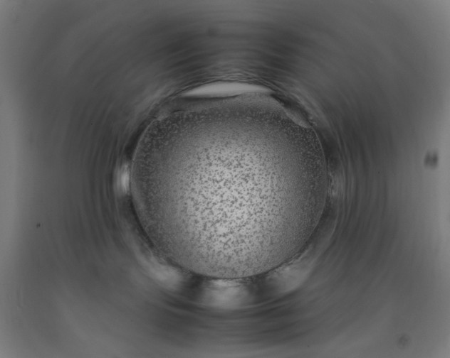 X0000092210095200709281032