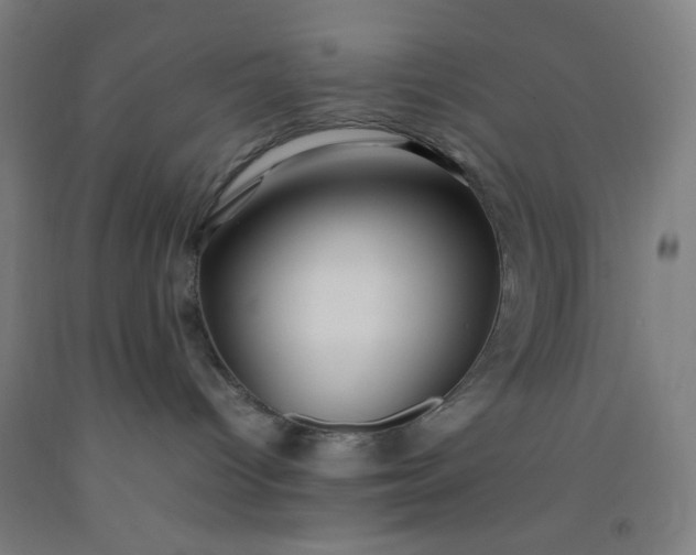 X0000092210096200709281032