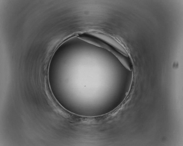 X0000092210097200709281031