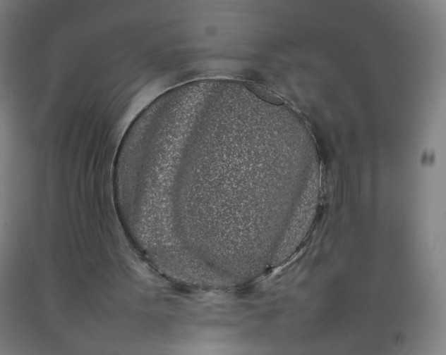 X0000092210099200709281031