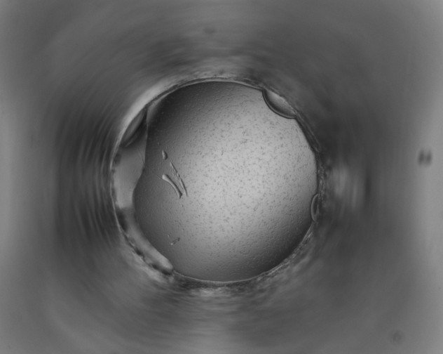 X0000092210100200709281031