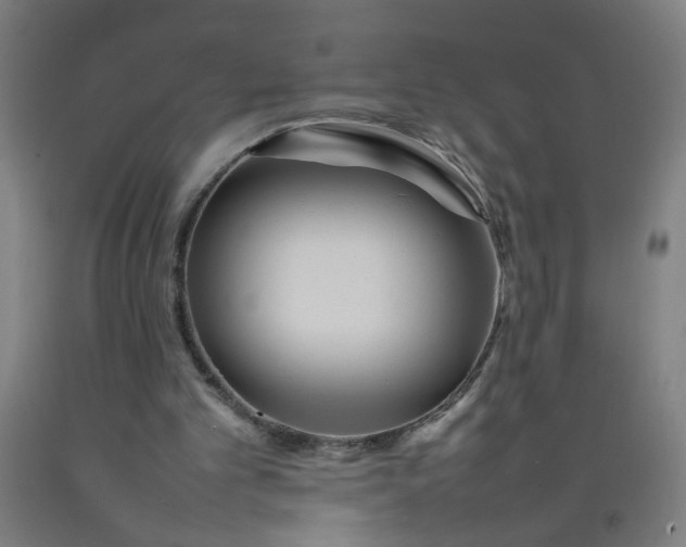 X0000092210101200709281031