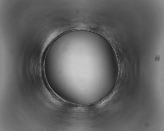 X0000092210102200709281031